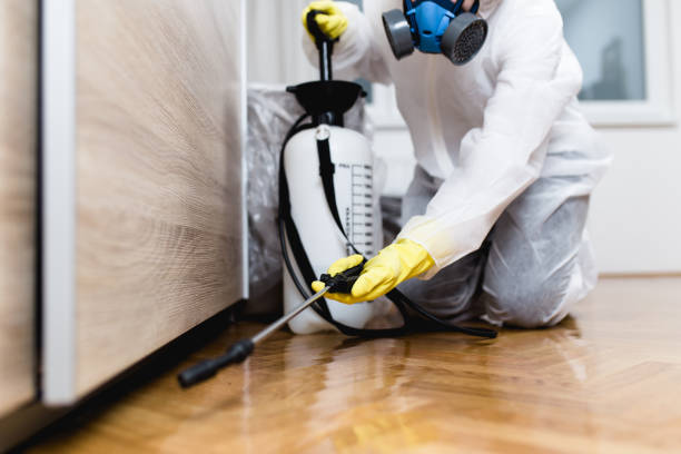 Best Commercial Pest Control Services  in Morris Plains, NJ
