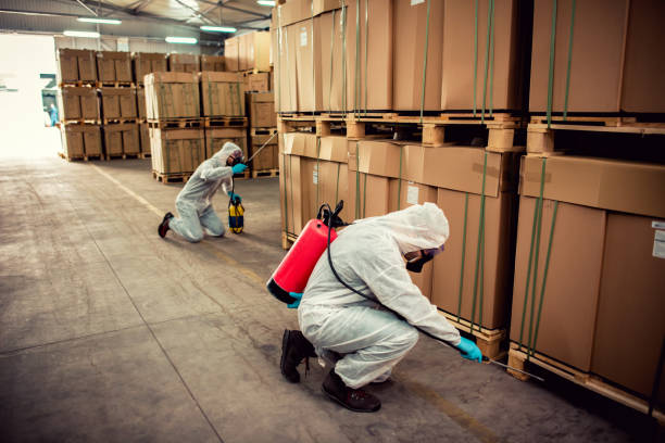 Best Emergency Pest Control  in Morris Plains, NJ