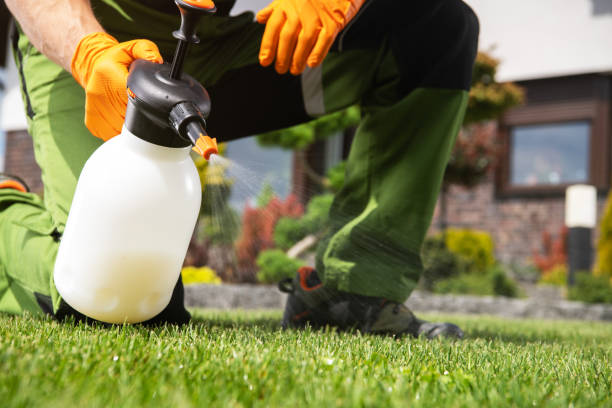 Pest Control for Restaurants in Morris Plains, NJ