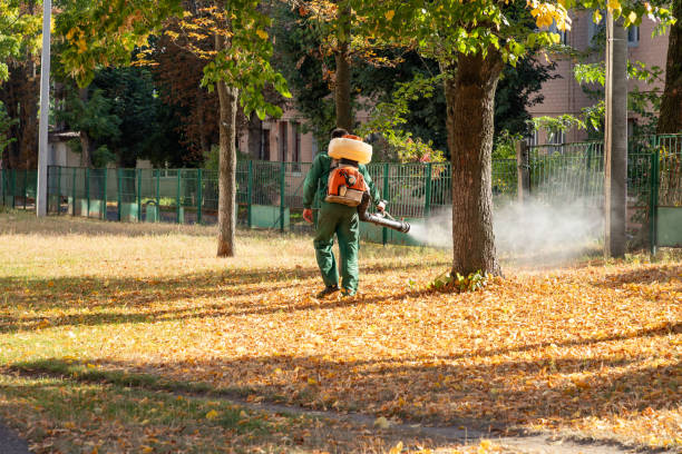 Best Pest Control for Restaurants  in Morris Plains, NJ